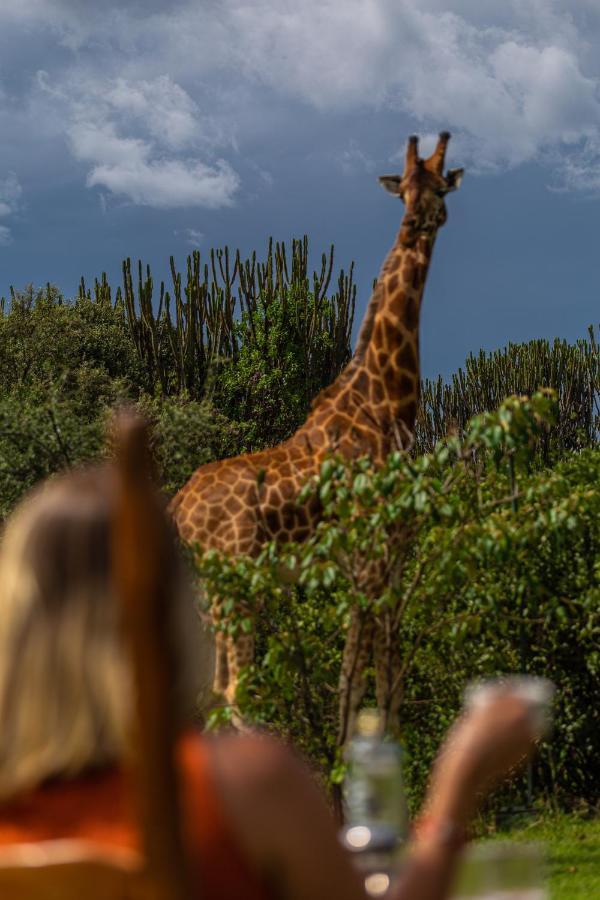 Mbweha Camp Lake Nakuru Elmenteita Exterior foto